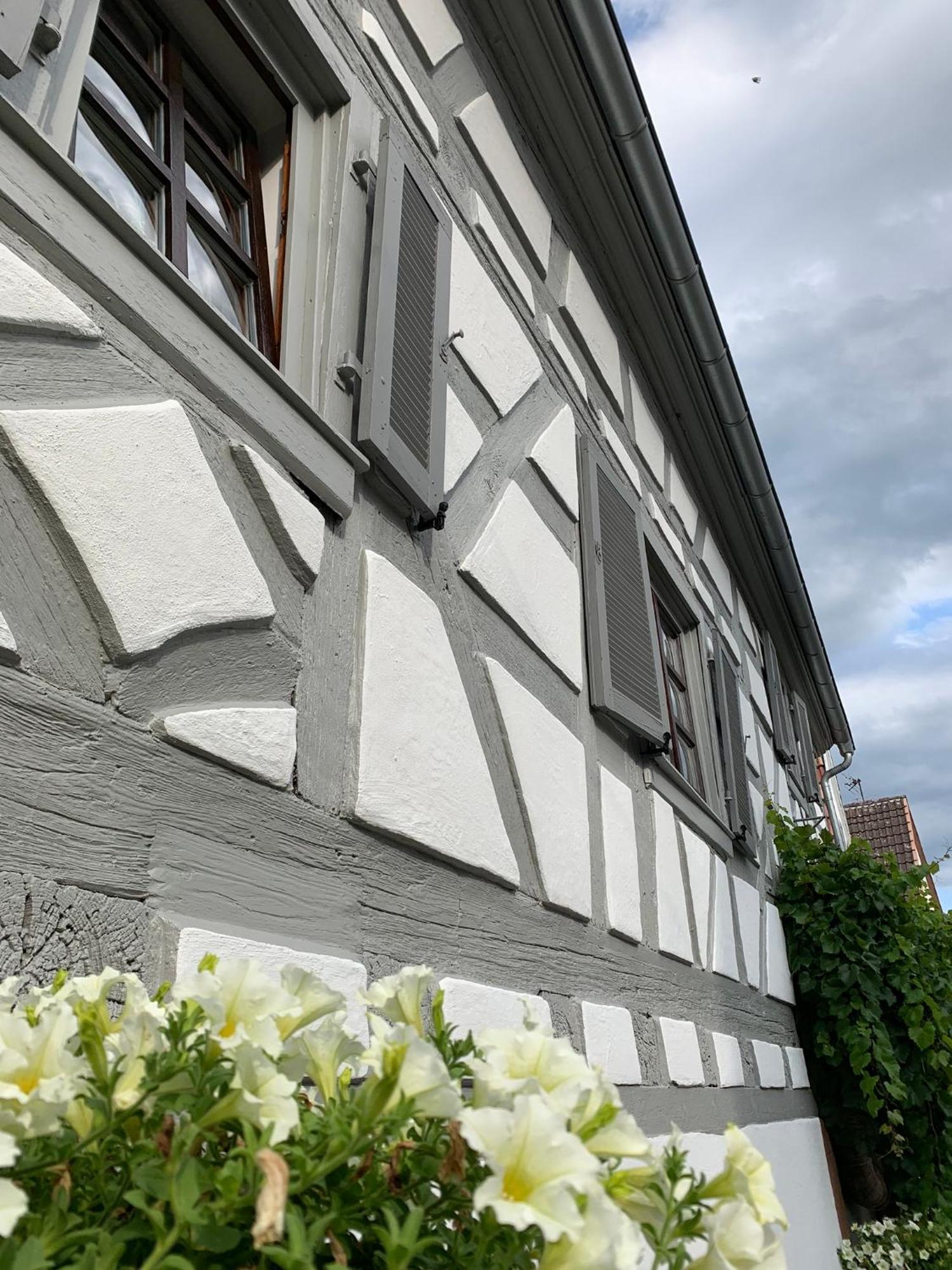 Ferienwohnung Sambachhaus Gleiszellen-Gleishorbach Luaran gambar
