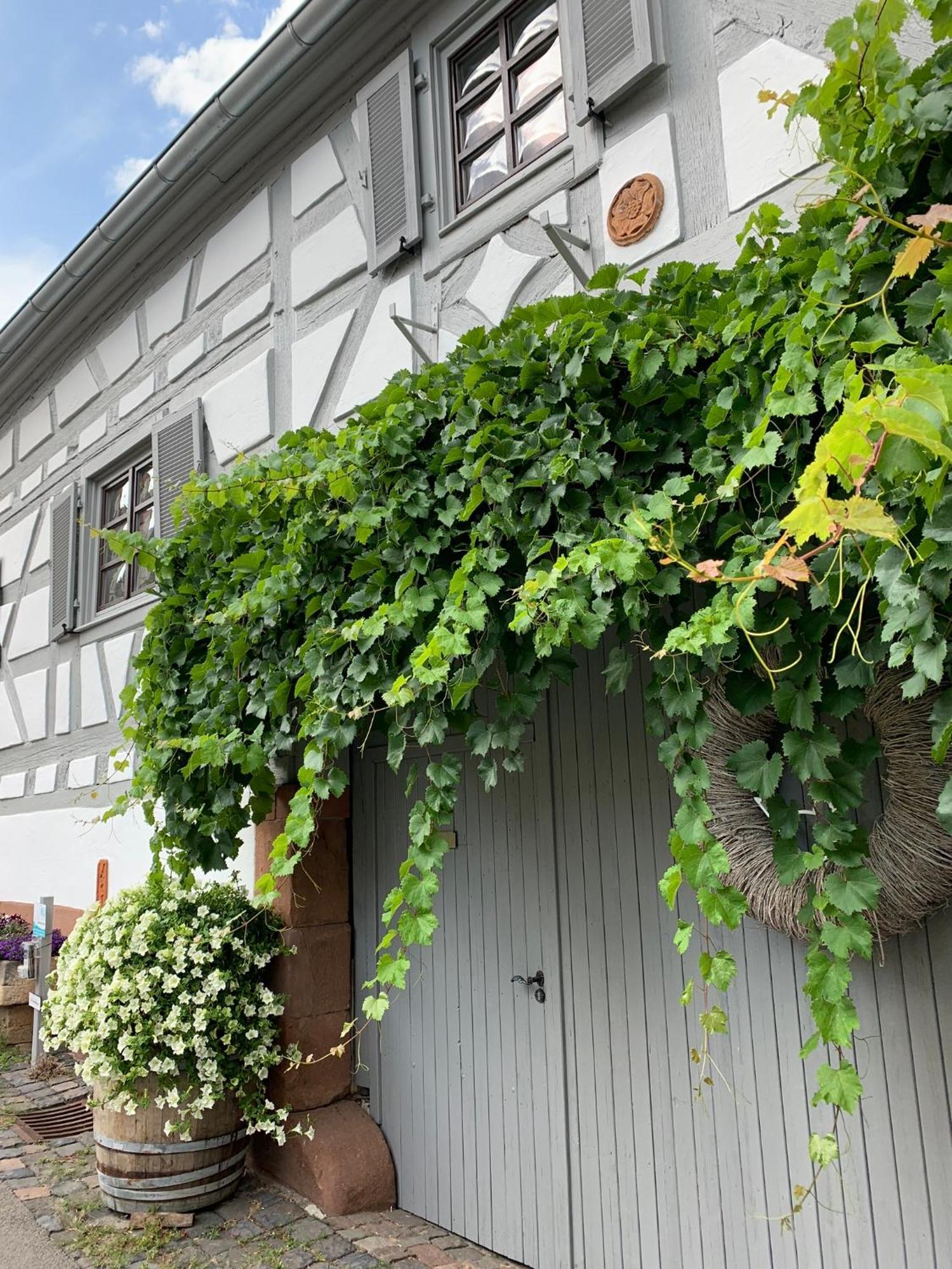 Ferienwohnung Sambachhaus Gleiszellen-Gleishorbach Luaran gambar